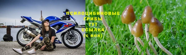 мескалин Армянск